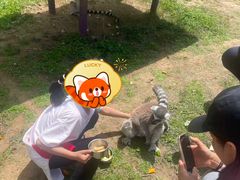 -无锡动物园·太湖欢乐园