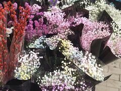 -宝鸡东道花鸟鱼虫市场(吉利花园商场店)