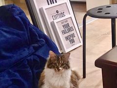 -壹寸照相馆(新城·香溢紫郡花园南区店)