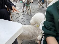 -小意思咖啡店(草桥店)