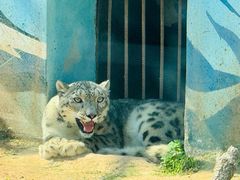 -青藏高原野生动物园