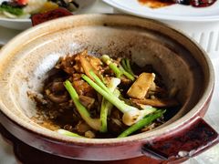 -侨美·唐荔园·40年地道粤菜