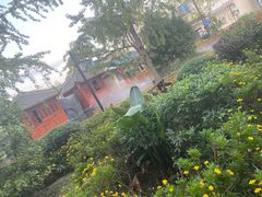 -九尺赵老四鲜鹅肠火锅