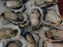 -云南巷海鲜大咖·可加工海鲜