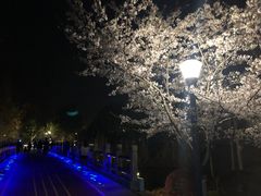 -尚贤河湿地