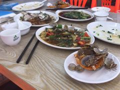 -红月湾海鲜饭店•沙滩海景(双月湾店)