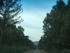 -五营红松林海景区