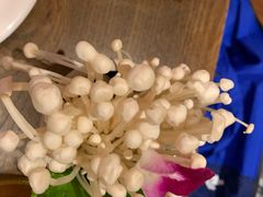 -刘一锅筋头巴脑(小北店)