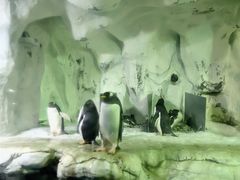 -南昌海洋公园