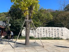 -牛首山文化旅游区