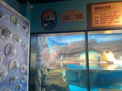-海合安武汉极地海洋公园
