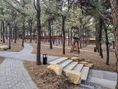 -东海森林温泉度假酒店