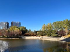 -大望京公园