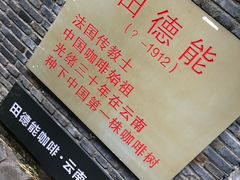 -田德能咖啡博物馆