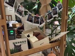 -一尺花园(安和花园店)