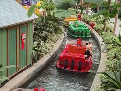 -南宫五洲植物乐园