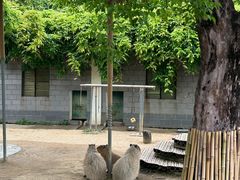 -合肥野生动物园