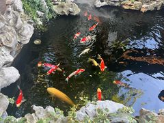-鲤院·新中式美学·庭院餐厅(夫子庙店)