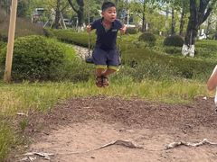 -铁山坪森林公园