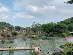 -广州莲花山旅游区
