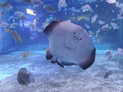 -绿色星球动物主题公园