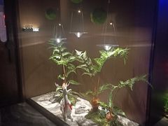 -大桶大足浴(山钢和润荟店)