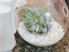 -上海齐鲁万怡大酒店·辣椒屋咖啡厅