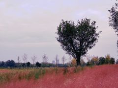 -汉长安城未央宫国家考古遗址公园