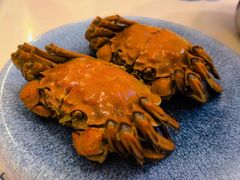 -姑苏家宴·苏帮菜·松鼠桂鱼(苏州总店)