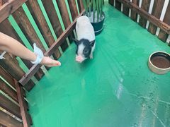 -宝安区图书馆(石岩街道分馆)