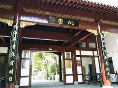 -南汇桃花村
