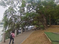 -南宁南湖公园