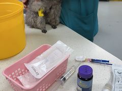 -联合动物医院(光谷诊疗中心)