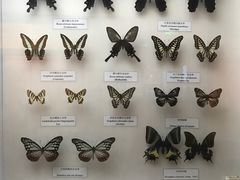 -陕西自然博物馆