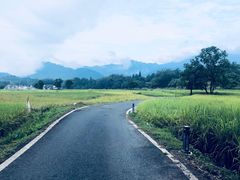 -塔川景区