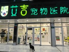 -艾吉宠物医院·疑难杂症转诊中心·猫友好(碧江路院)