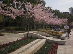 -新江湾城公园