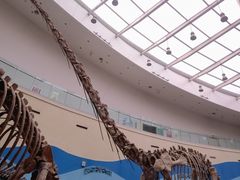 -陕西自然博物馆