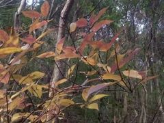 -宁波五龙潭景区