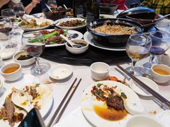 -食为先(Shark Fin)