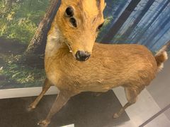 -下渚湖国家湿地公园科普馆