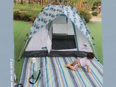 -合肥滨湖国家森林公园