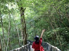 -龙湾潭国家森林公园