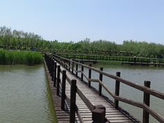 -西青郊野公园