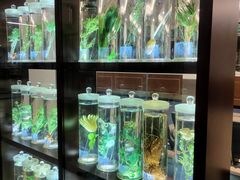 -北京中医药大学东直门医院(通州院区)