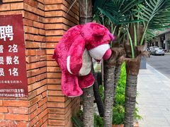 -bluefrog蓝蛙(石家庄欢乐汇店)