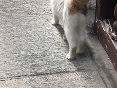 -万寿八仙宫