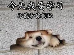 -罗森便利店(鱼市街店)
