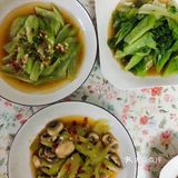 靠谱月嫂推荐，赶快码住