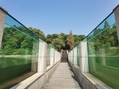 -鄱阳湖国家湿地公园